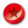 maroc